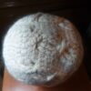 Crocheted Hat - Image 2